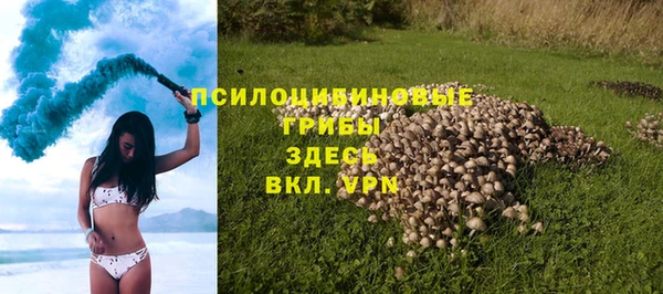 PSILOCYBIN Ижевск