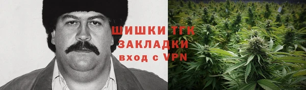 PSILOCYBIN Ижевск